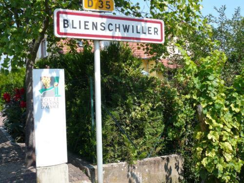 Hotel Winzenberg ブリンシュヴィレール エクステリア 写真